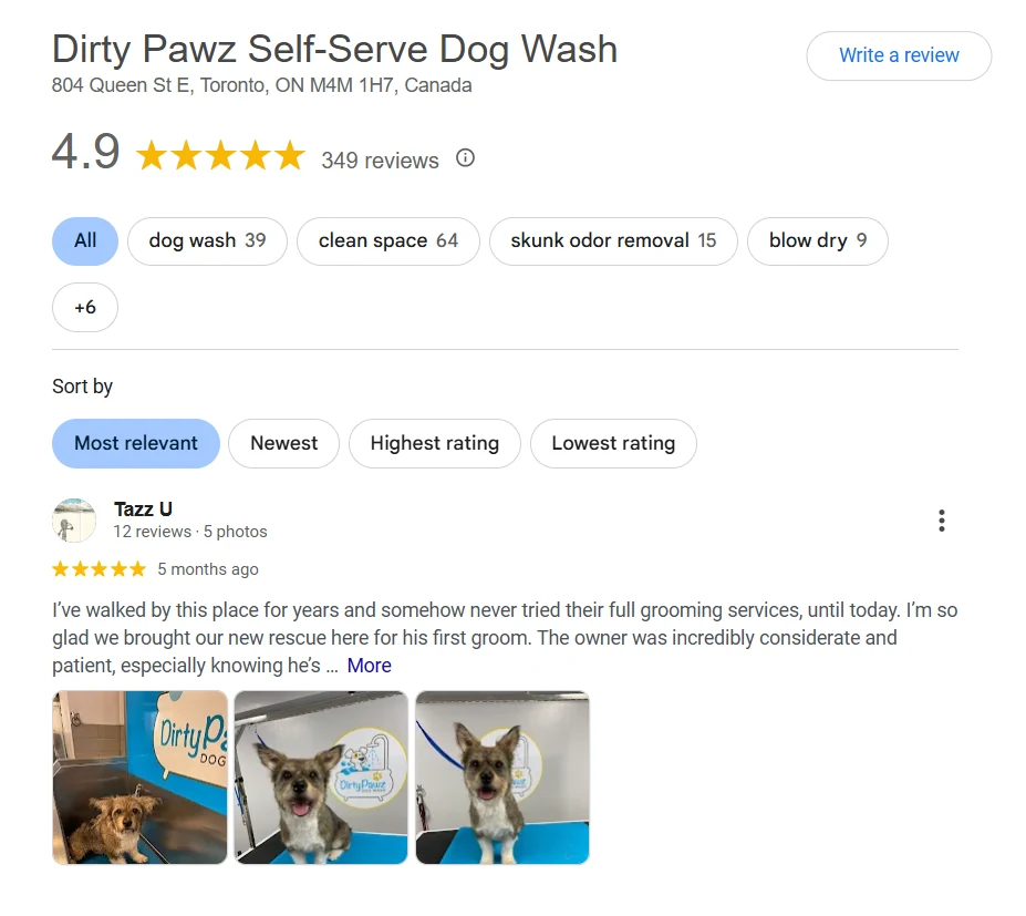 Dirty Pawz Self-Serve Dog Wash Google Business Profile — 4.9 star rating across 349 reviews, with topic tags for dog wash, clean space, skunk odor removal, and blow dry.